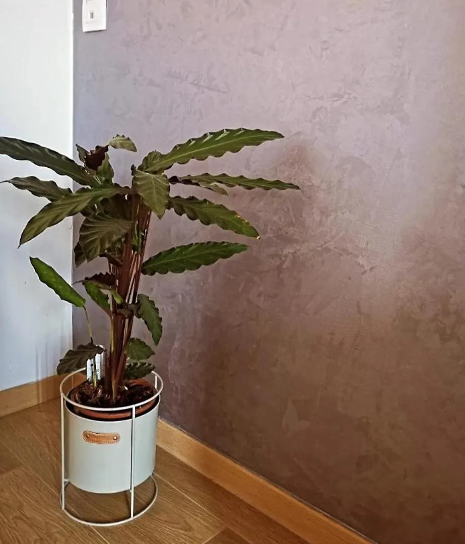 Apartman M&M'S 자다르 아파트